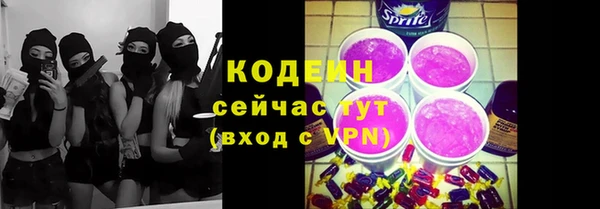 крисы Пересвет