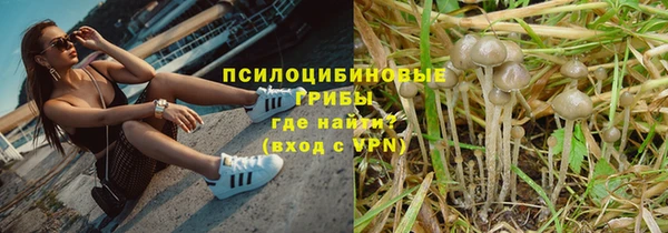 винт Переславль-Залесский