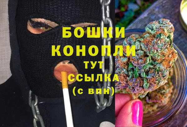 винт Переславль-Залесский