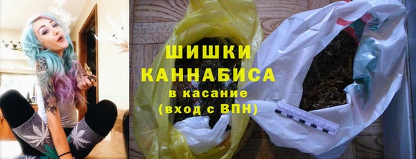 крисы Пересвет