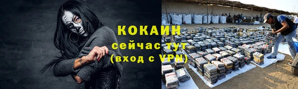 крисы Пересвет