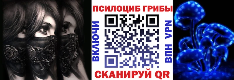 где купить наркотик  Чита  Псилоцибиновые грибы Psilocybe 