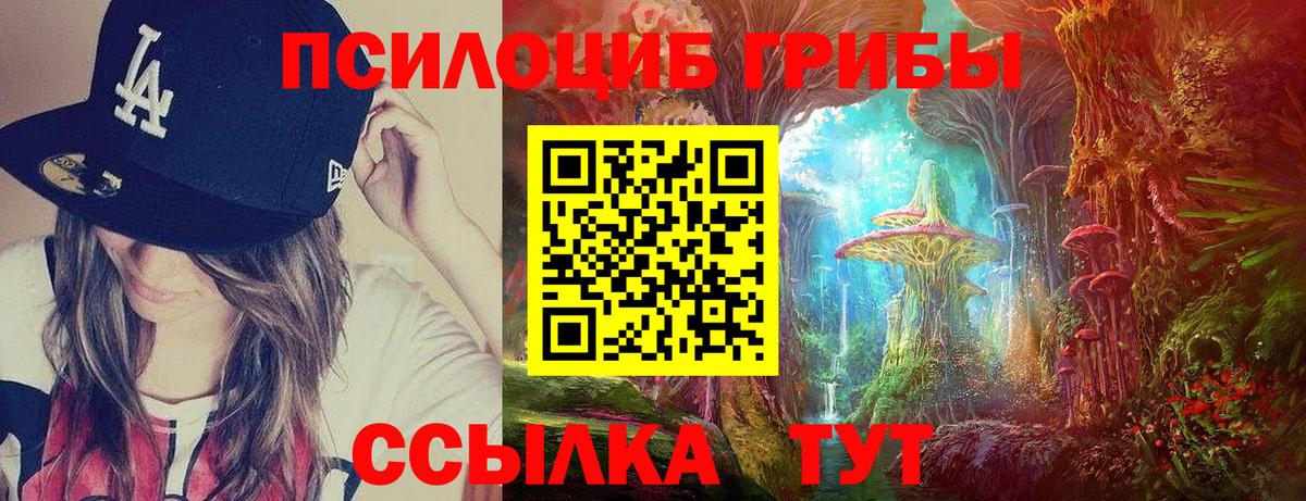 Галлюциногенные грибы Psilocybe Чита