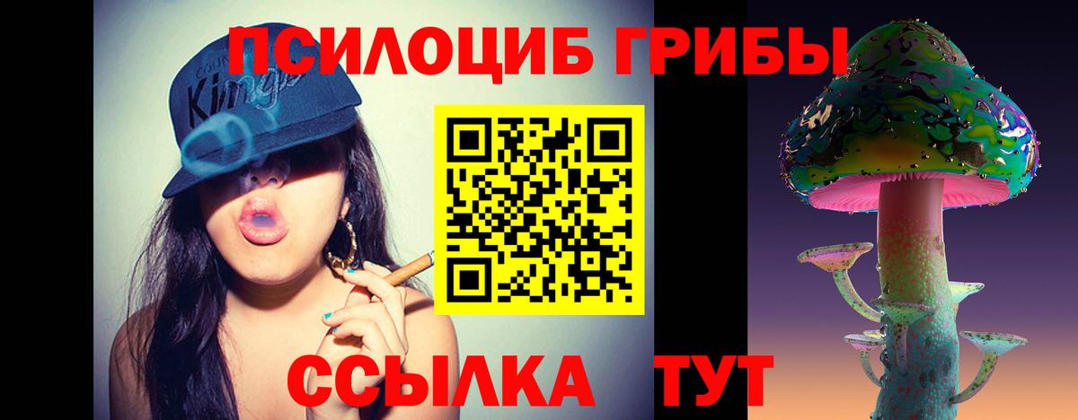 Чита  Галлюциногенные грибы прущие грибы  Вход с VPN 